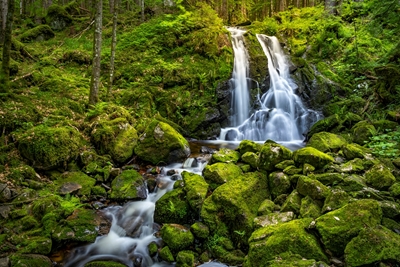 Waterfall in the Black Forest