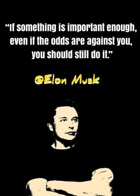 Citazione di Elon Musk