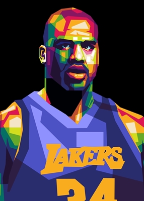 Shaquille o'neal |