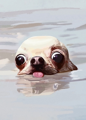 Pływanie Chihuahua Meme