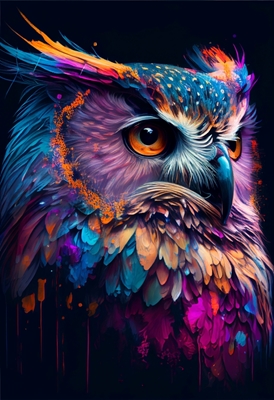 Colourful Owl - Illustration