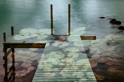 The Water Lily bridge