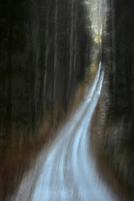 Estrada florestal gelada