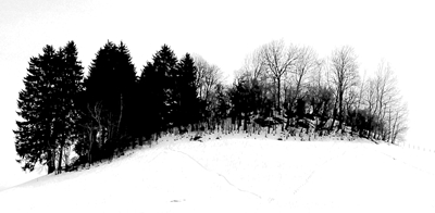 Forêt d’hiver