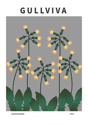 Prímula, flor de Närke