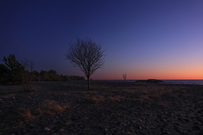 Solnedgang ved Torö stenstrand