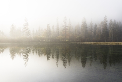 Brouillard matinal au bord d’un lac de montagne