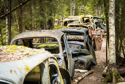 Wraki samochodów porzucone w lesie
