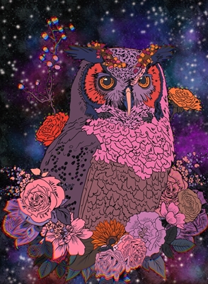 Owl in Space