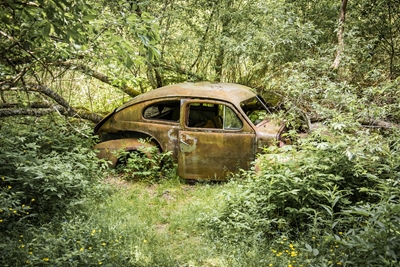 A car lost in nature