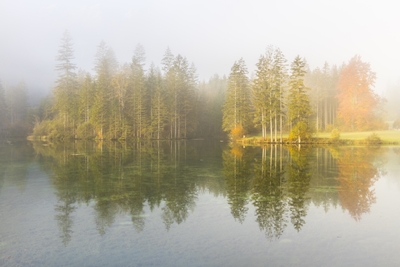 Atmosphère de brouillard au bord d’un lac