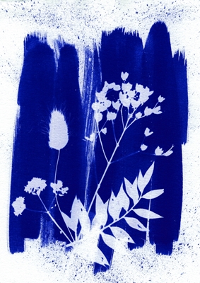 Flores secas de color azul oscuro