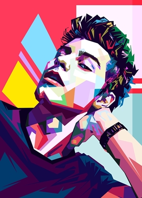 Shawn Mendes pop-art