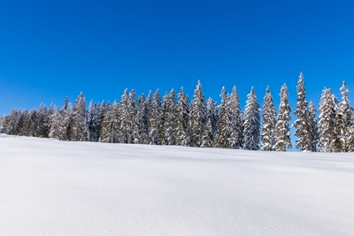Zimowy krajobraz w Alpach