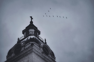 Church tower with birds 