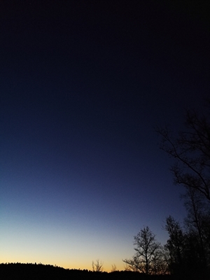 Niebieski wschód słońca 