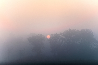 Lever de soleil dans le brouillard
