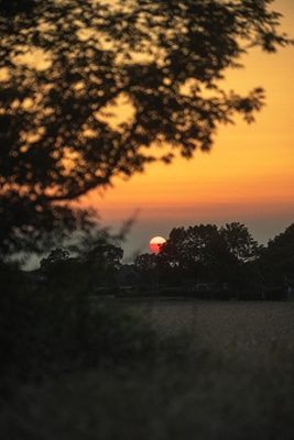 Solnedgång över fälten