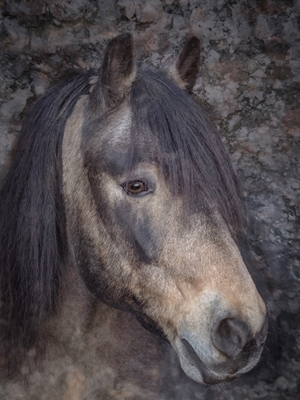 El caballo de piedra del norte de Suecia 