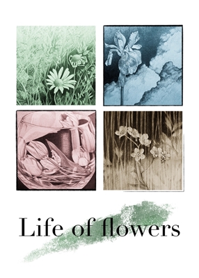 Life of flowers