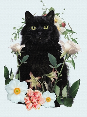 floral do gato