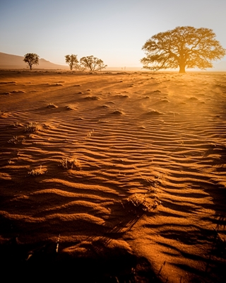 Coucher de soleil à Namibrand