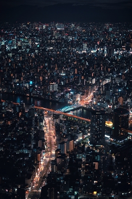 Tokyo Natt