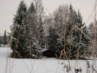 Ensom skogshytte i snøen