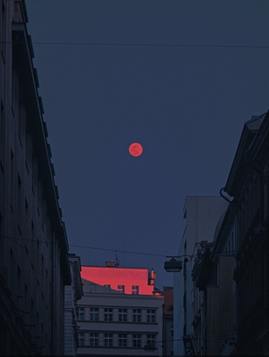 Rød måne