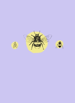 Bumblebee com amigos (roxo)