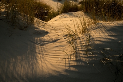 Sunset and dunes by sea