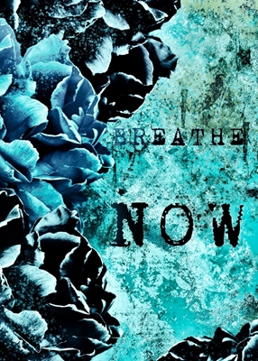 Breathe now 