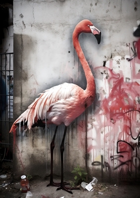 Flamingo x Grafitti
