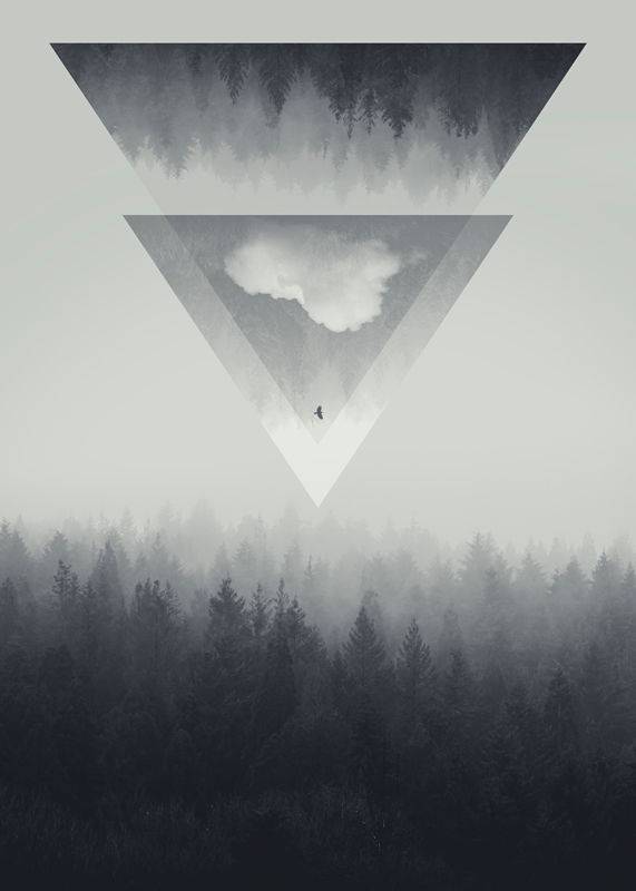 Forest Fog Geometry posters & prints by Dirk Wüstenhagen - Printler