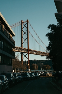 Ponte