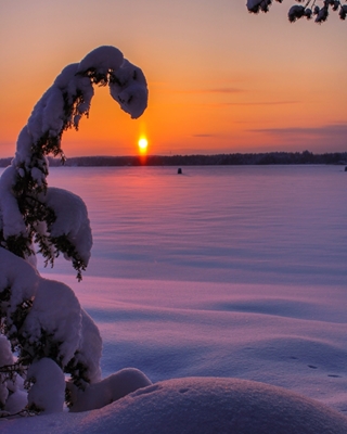 Vinter solnedgång 