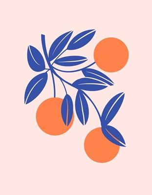 Fröhliche Orangen