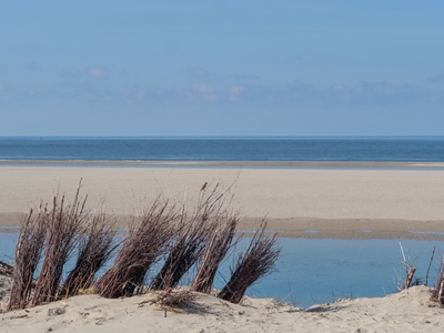 Spiaggia e dune in riva al mare