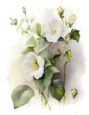 Floraison blanche