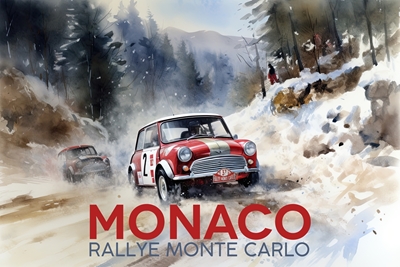 Mini Cooper Monaco Rallye
