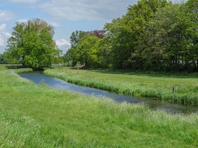 small river with green fields