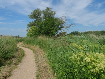path at the trave river