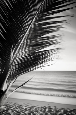 Palmetræ på sandstranden V1