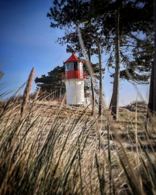 Lighthouse on Hiddensee