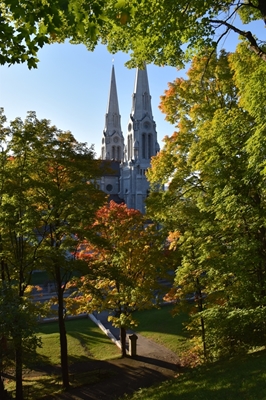 The cathedral park in autumn