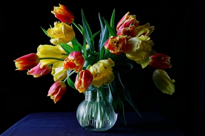 Fødselsdagsbuket med tulipaner