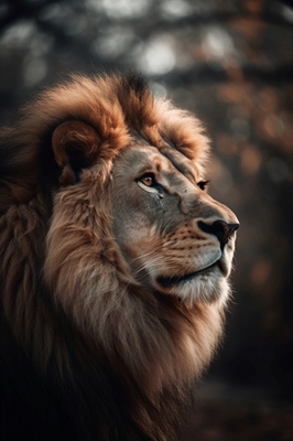 Lion dans la Savannah V2