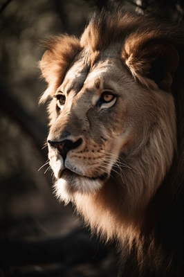 Löwe in der Savanne V1