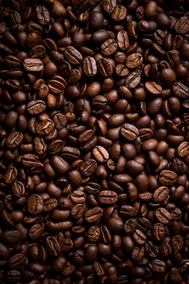 Granos de café