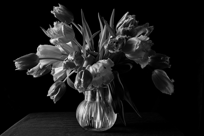Bouquet d’anniversaire avec tulipes